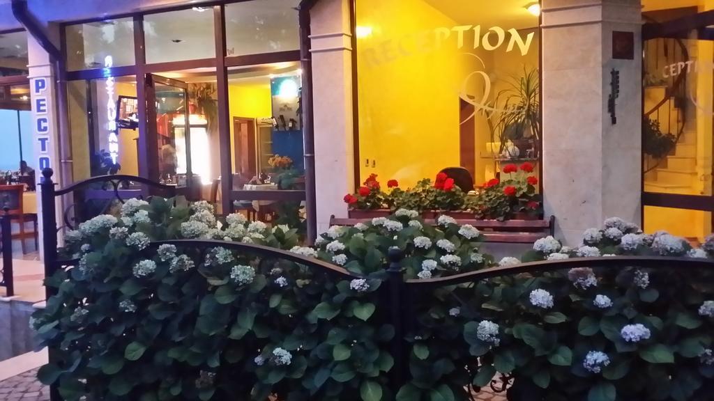Hotel Continental 키텐 외부 사진